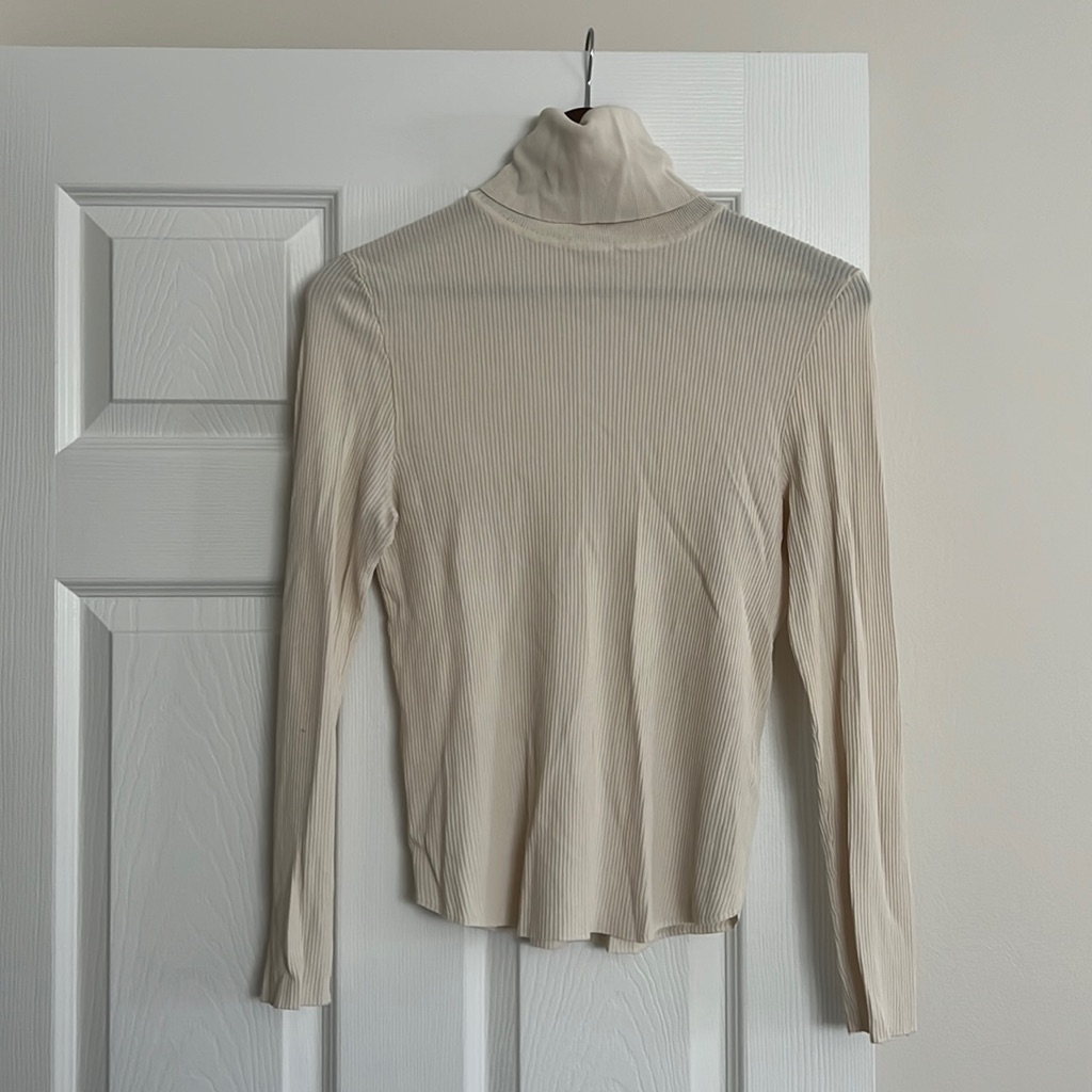 Zara Basic Turtleneck Top
